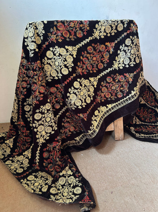 Elegant Embroidered Velvet Shawl Ultimate Luxury Design Walking Queen